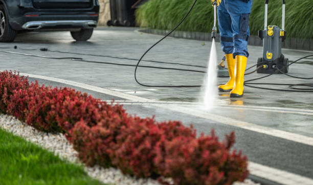 Best Solar Panel Cleaning  in Wolf Trap, VA